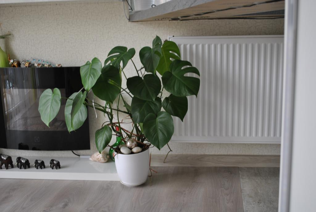 I Love Heviz Apartments Esterno foto
